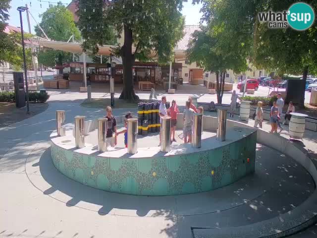 Fontana di birra Webcam – Oro verde – Žalec