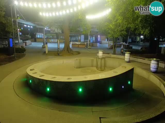 Fontaine à bière LIVE webcam – Or vert – Žalec