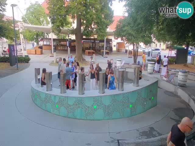 Bier-Springbrunnen Webcam Žalec – Grünen Goldes