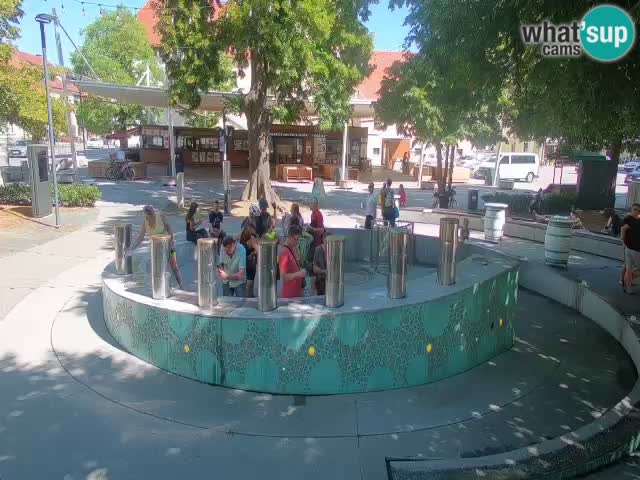 Fontaine à bière LIVE webcam – Or vert – Žalec