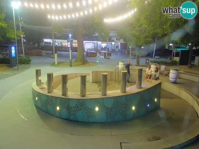 Bier-Springbrunnen Webcam Žalec – Grünen Goldes