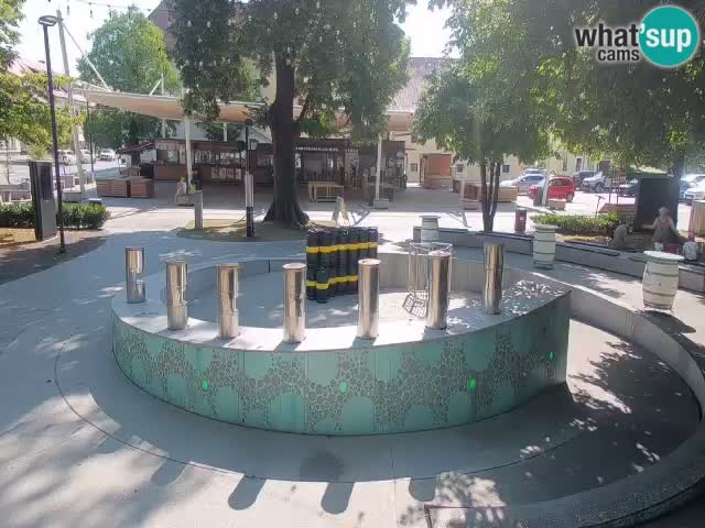 Fontaine à bière LIVE webcam – Or vert – Žalec