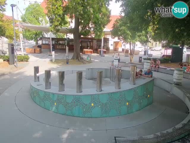 Fontana di birra Webcam – Oro verde – Žalec