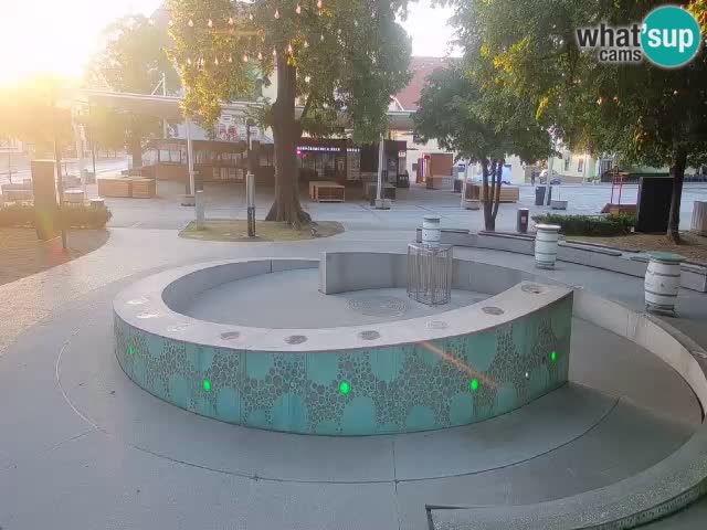 Fontaine à bière LIVE webcam – Or vert – Žalec