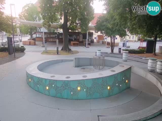 Bier-Springbrunnen Webcam Žalec – Grünen Goldes
