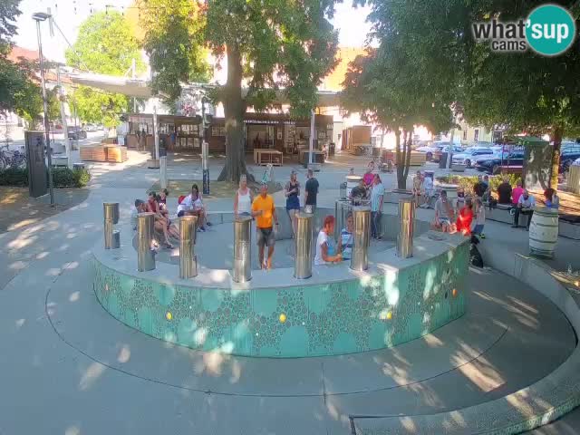 Fontana di birra Webcam – Oro verde – Žalec
