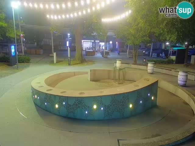 Fontaine à bière LIVE webcam – Or vert – Žalec