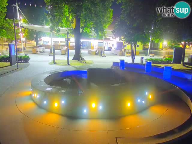 Fontaine à bière LIVE webcam – Or vert – Žalec
