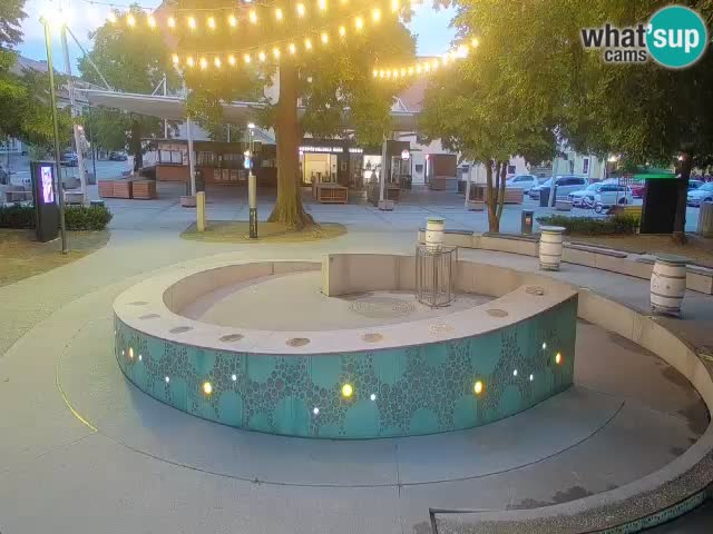 Fontaine à bière LIVE webcam – Or vert – Žalec