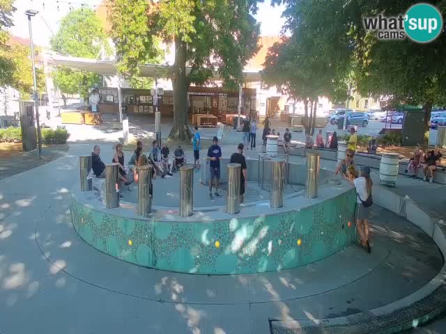 Camera en vivo Fuente de cerveza – Oro verde – Žalec
