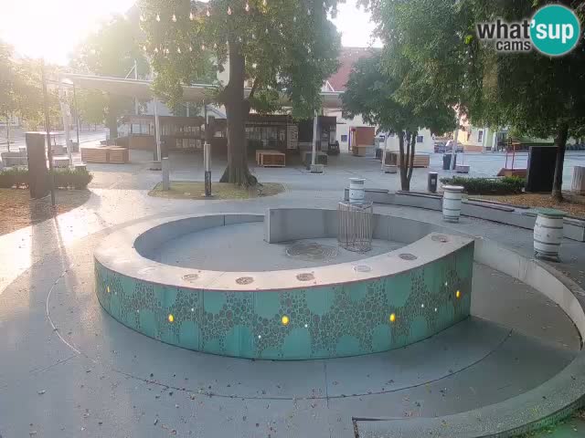 Camera en vivo Fuente de cerveza – Oro verde – Žalec