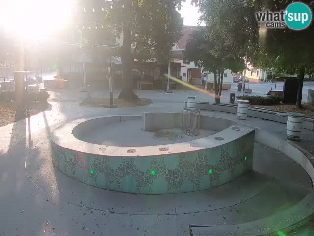 Fontana di birra Webcam – Oro verde – Žalec
