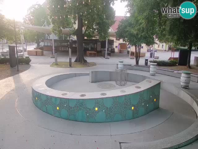 Bier-Springbrunnen Webcam Žalec – Grünen Goldes