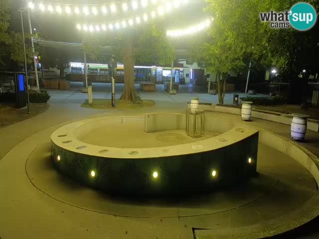 Bier-Springbrunnen Webcam Žalec – Grünen Goldes