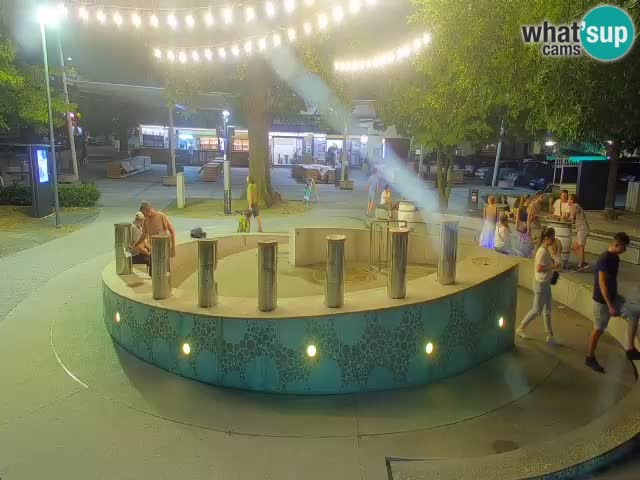 Camera en vivo Fuente de cerveza – Oro verde – Žalec