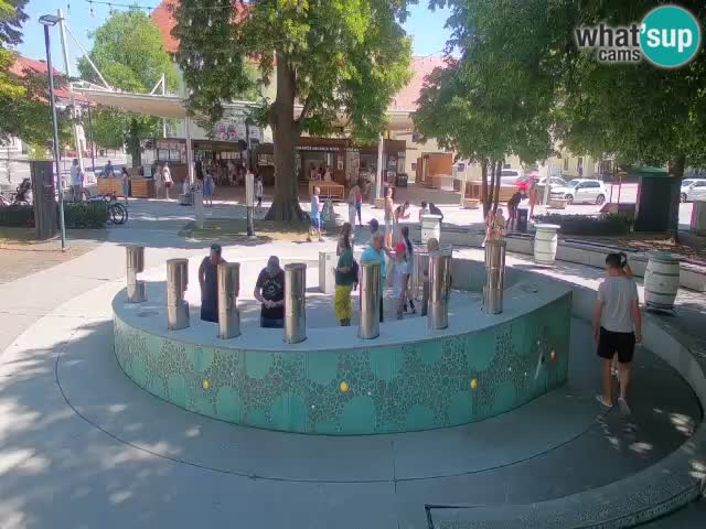 Bier-Springbrunnen Webcam Žalec – Grünen Goldes