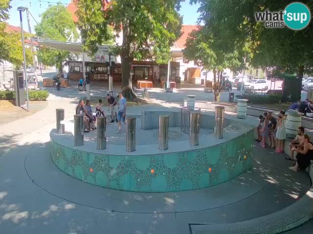 Spletna kamera Fontana Piv – Zeleno zlato Žalec