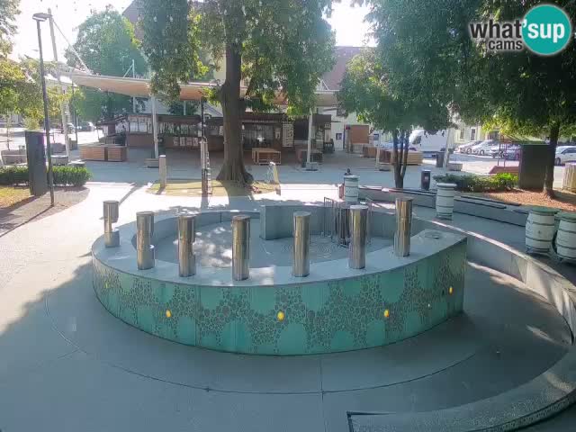 Camera en vivo Fuente de cerveza – Oro verde – Žalec