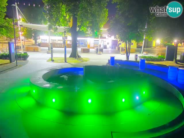 Fontana di birra Webcam – Oro verde – Žalec