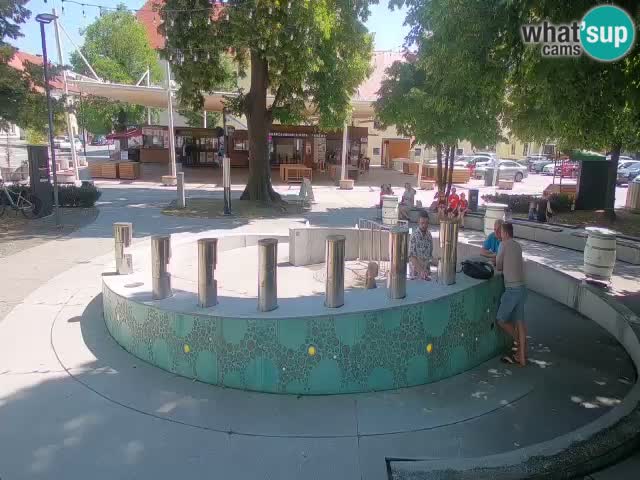 Bier-Springbrunnen Webcam Žalec – Grünen Goldes