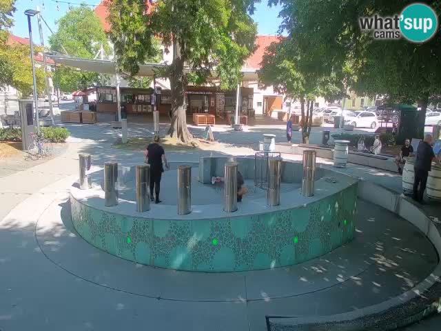 Bier-Springbrunnen Webcam Žalec – Grünen Goldes