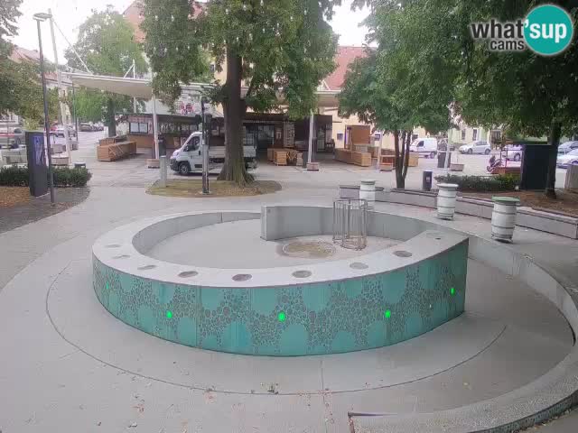Spletna kamera Fontana Piv – Zeleno zlato Žalec