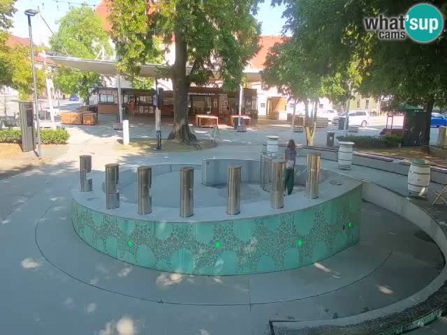Fontana di birra Webcam – Oro verde – Žalec