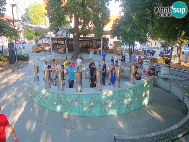 Spletna kamera Fontana Piv – Zeleno zlato Žalec