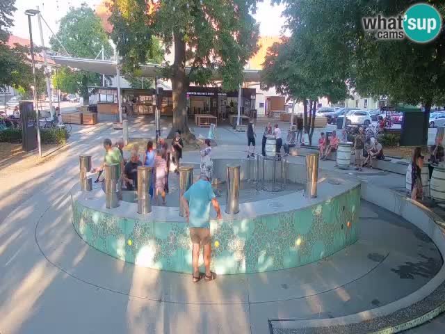 Spletna kamera Fontana Piv – Zeleno zlato Žalec