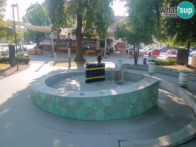 Camera en vivo Fuente de cerveza – Oro verde – Žalec