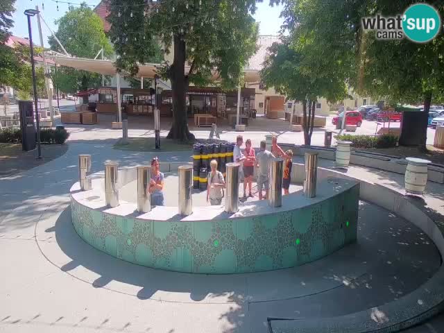 Web kamera Fontana piva – Zeleno zlato – Žalec