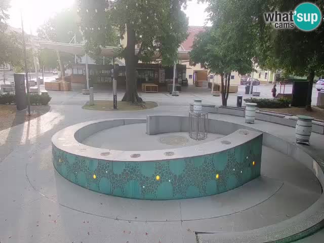 Spletna kamera Fontana Piv – Zeleno zlato Žalec