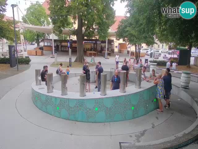 Fontaine à bière LIVE webcam – Or vert – Žalec