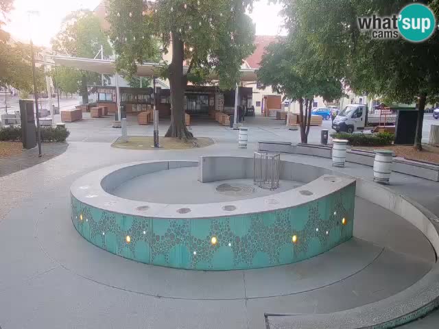 Fontaine à bière LIVE webcam – Or vert – Žalec