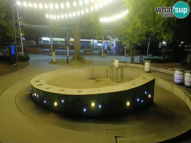 Bier-Springbrunnen Webcam Žalec – Grünen Goldes