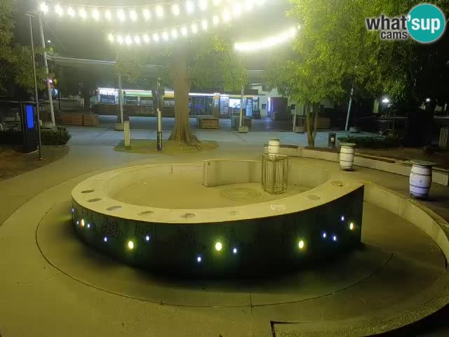 Camera en vivo Fuente de cerveza – Oro verde – Žalec