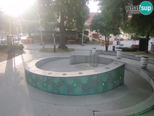 Fontaine à bière LIVE webcam – Or vert – Žalec