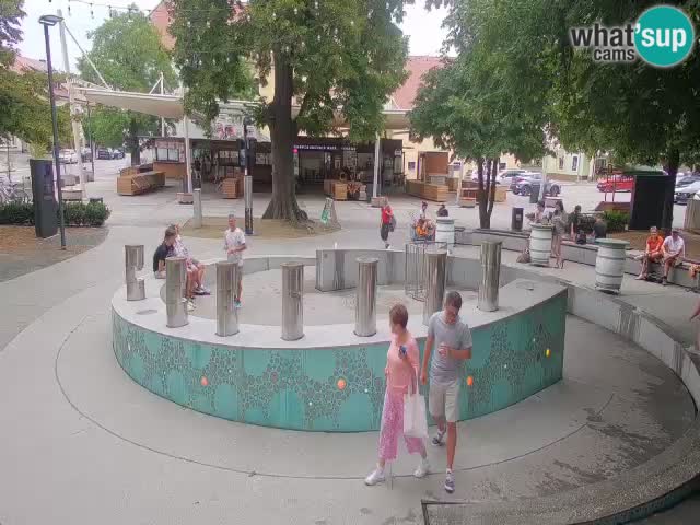 Fontana di birra Webcam – Oro verde – Žalec