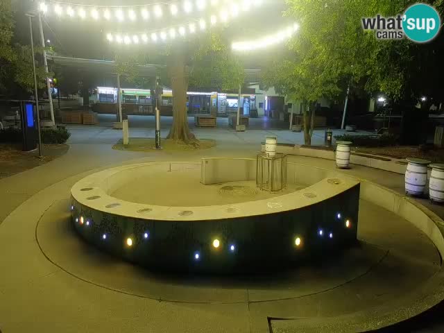 Fontana di birra Webcam – Oro verde – Žalec