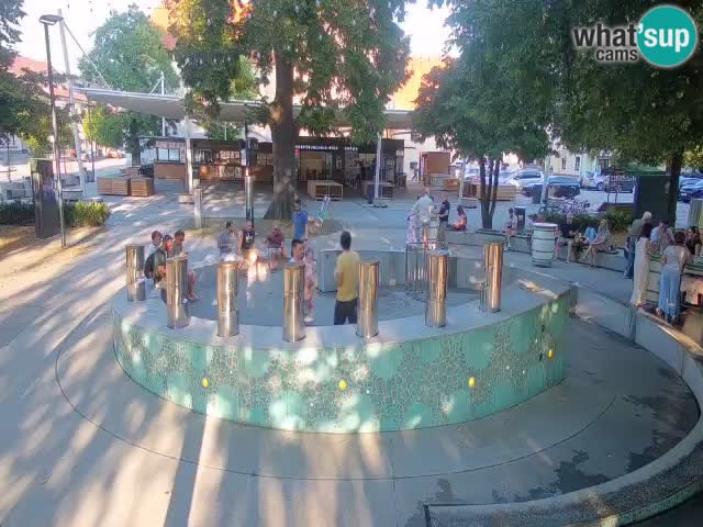 Web kamera Fontana piva – Zeleno zlato – Žalec