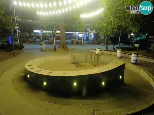 Fontaine à bière LIVE webcam – Or vert – Žalec