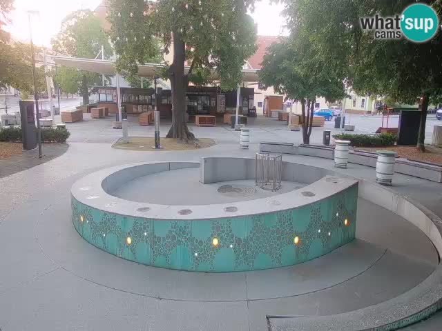 Camera en vivo Fuente de cerveza – Oro verde – Žalec
