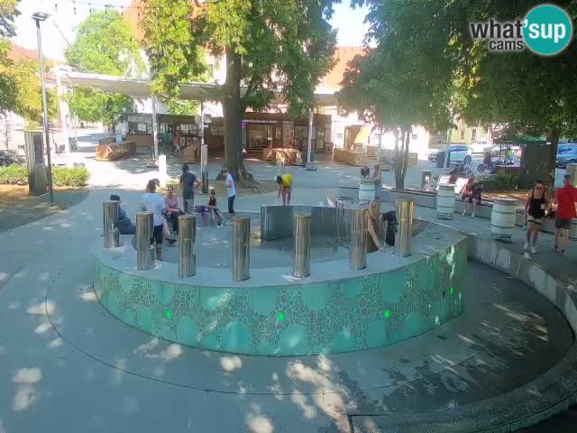 Spletna kamera Fontana Piv – Zeleno zlato Žalec