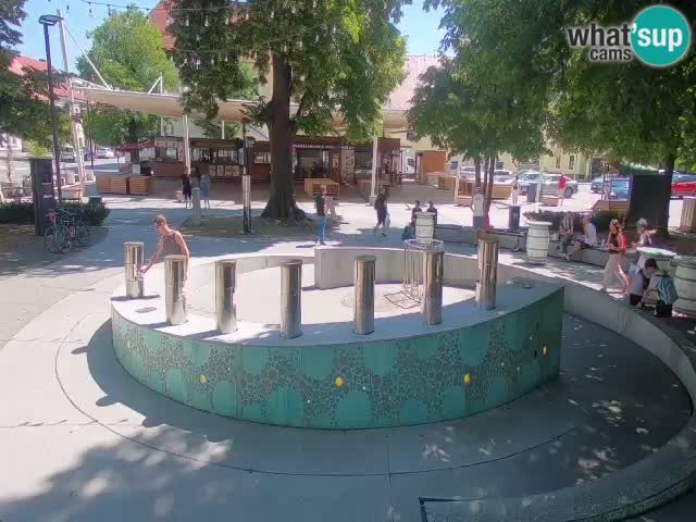 Spletna kamera Fontana Piv – Zeleno zlato Žalec