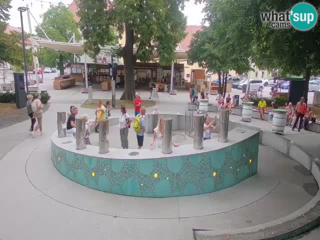 Fontaine à bière LIVE webcam – Or vert – Žalec