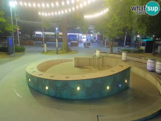 Fontaine à bière LIVE webcam – Or vert – Žalec