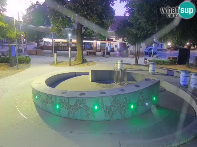 Fontaine à bière LIVE webcam – Or vert – Žalec