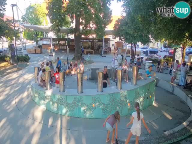 Bier-Springbrunnen Webcam Žalec – Grünen Goldes