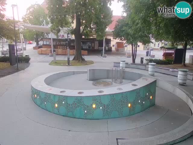 Fontaine à bière LIVE webcam – Or vert – Žalec