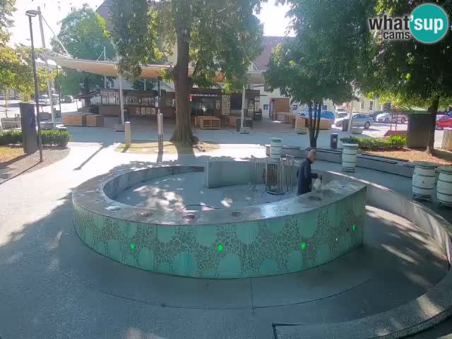 Fontana di birra Webcam – Oro verde – Žalec